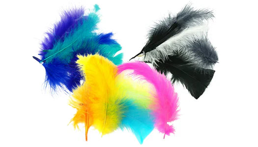 Feathers