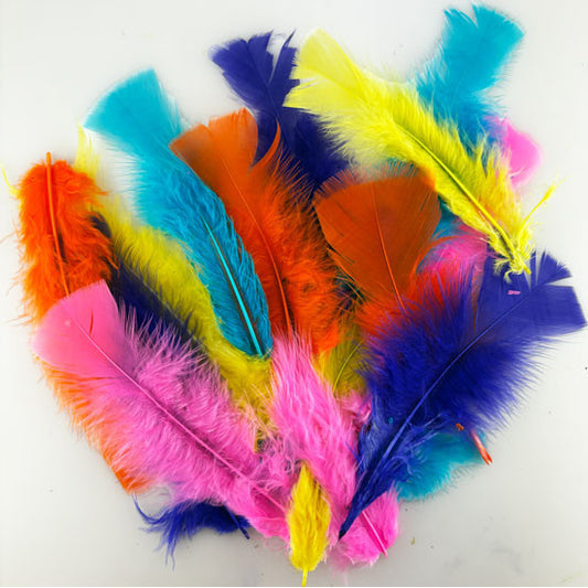 Turkey Feathers 10g - Neon