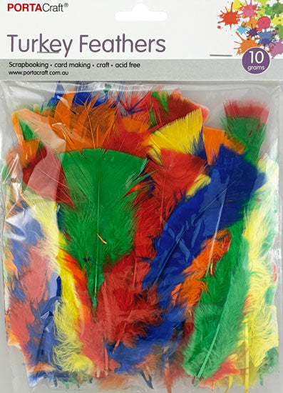 Turkey Feathers 10g - Multi Dark