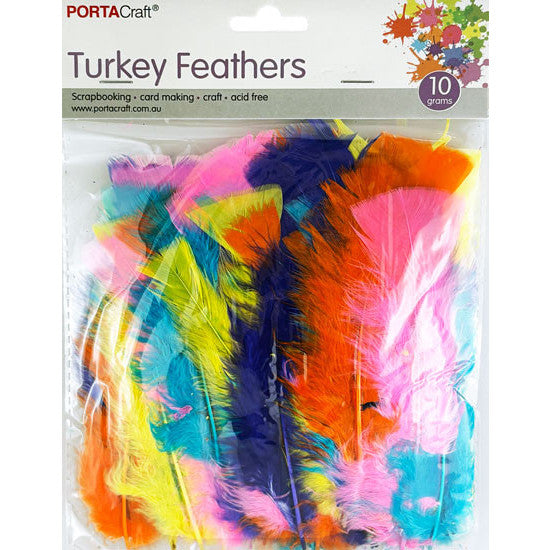 Turkey Feathers 10g - Neon