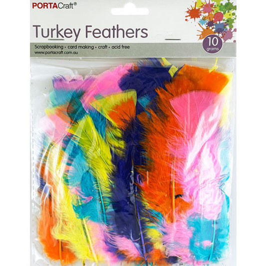 Turkey Feathers 10g - Neon