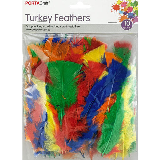 Turkey Feathers 10g - Multi Dark