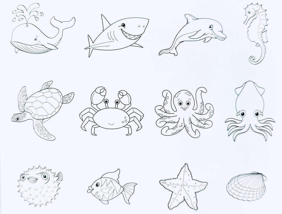 Printed Cardstock Sea Life 12 Pack