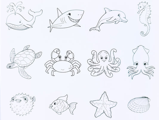 Printed Cardstock Sea Life 12 Pack