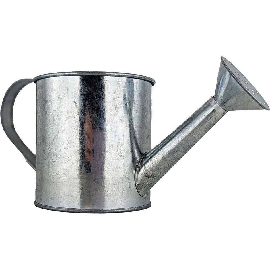 Metal Watering Can 100x220mm