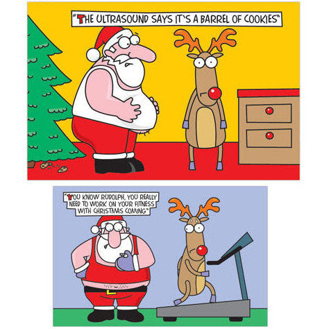 Humorous Christmas Cards 10pk - Santa & Rudolph