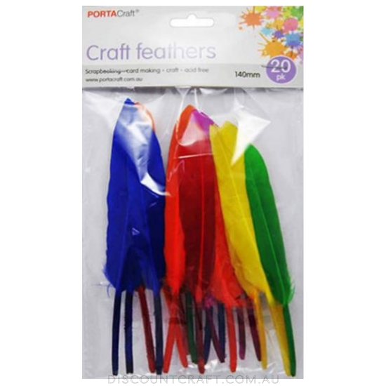 Craft Feathers 140mm 20pk - Multi Colour