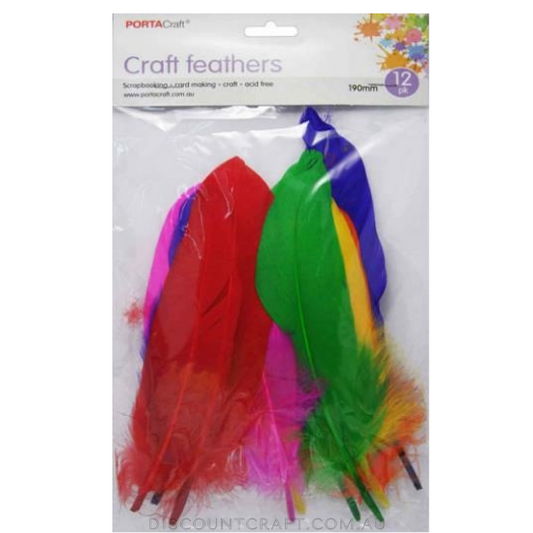 Craft Feathers 190mm 12pk - Multi Colour