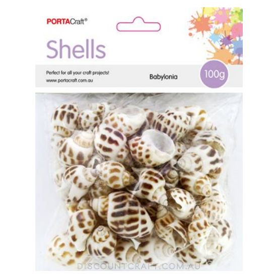 Babylonia Sea Shells - 100g