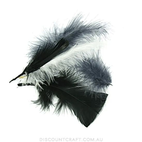 Craft Feathers - Black, White & Grey 10g