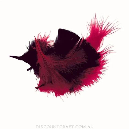 Craft Feathers - Red & Black 10g