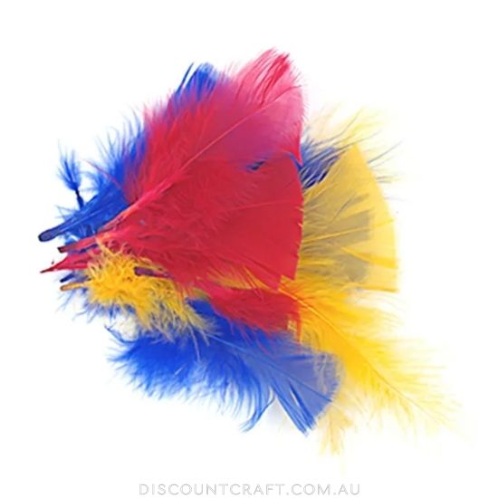 Craft Feathers - Red, Yellow & Blue 10g