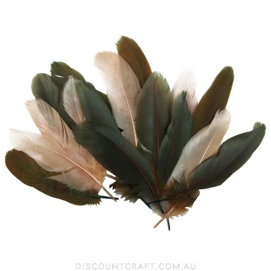 Goose Feathers - Satin Natural Mix 6g