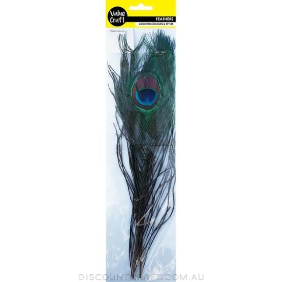 Feather Peacock Eyes 2pk