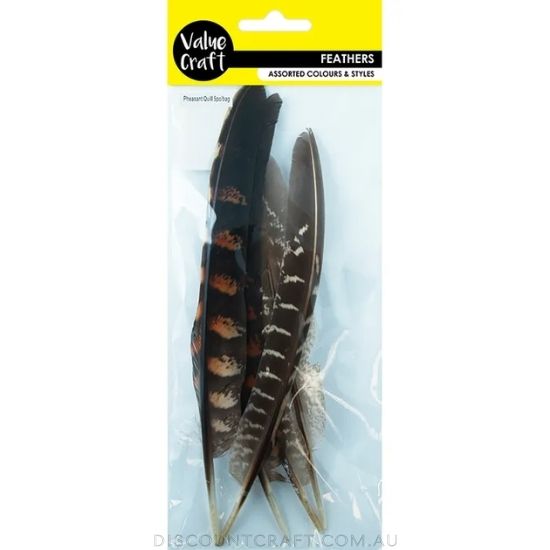 Feather Pheasant Quill Natural 5pk